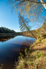 Fototapeta na wymiar blue sky and clouds reflecting in calm water of river Gauja in latvia in autumn