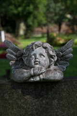 Der Engel schaut zum Himmel