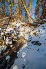 sun rising in heavy snow covered forest