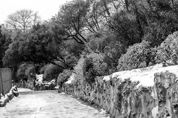 Parc des Buttes-Chaumont sous la neige - Paris