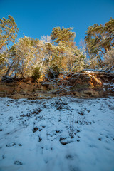 sun rising in heavy snow covered forest
