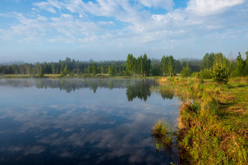Fototapeta na wymiar misty morning by the lake