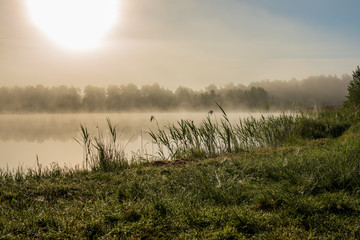 misty morning by the lake