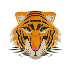 Beautiful tiger head