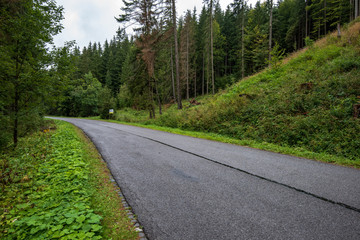 Fototapeta na wymiar wavy asphalt road in mountain area in forest