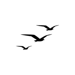 Seagull icon or logo on white