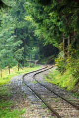 Obraz premium wavy log railway tracks in wet green forest with fresh meadows