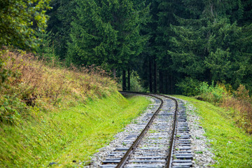 wavy log railway tracks in wet green forest with fresh meadows