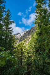 Slovakian tatra mountains in summer