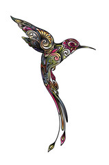 ummingbird bird. Paradise bird. Silhouette collected from the plant ornament in bright colors.