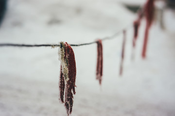 Fence of rags in frost