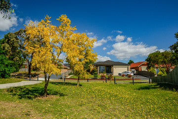 Sunny summer day in Hallam, Australia.