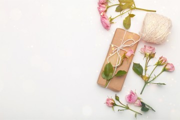 Close-up of pink rose flowers on background