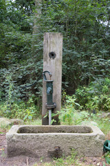Wasserstelle auf einem Waldfriedhof in Holland