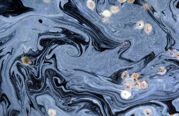 Pollen on the water