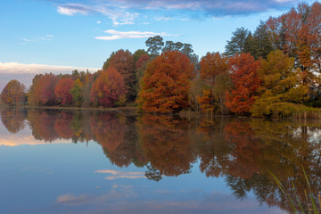 Autumn colored trees reflection on water