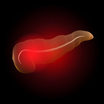 Medical illustration of pancreatic diseases with a point of pain , stylization of lines. Pancreatitis X-ray effect