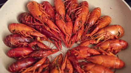 Boiled crayfish with dill on wooden background