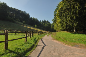 Road near the forest in Dahn, Germany ,2013