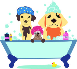 vector image of three cute dogs in a bubble bath