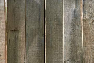 Texture of the wooden board fence with natural ambient sunlight.