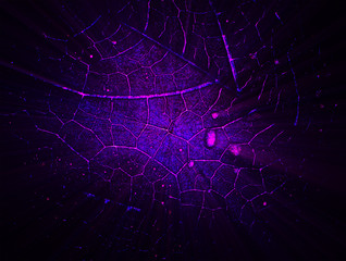 Abstract background image in purple tones with plant leaf texture.