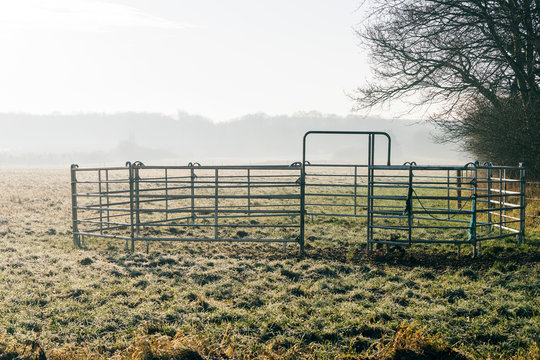 Small steel fence with open gate on a green meadow