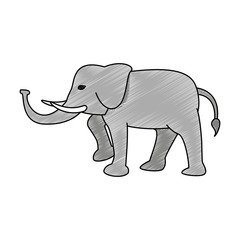 Elephant cute animal scribble