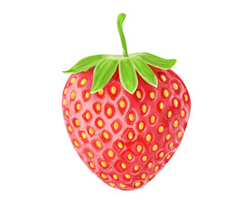 Strawberry berry isolated on white background. Watercolor. Illustration. Template. Hand drawing. Close-up. Clip art. Digital art