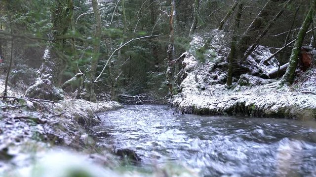 Im Winterwald flie&szlig;t ein Flu&szlig;. Es ist die Glenne bei Rixen im Sauerland. Sound. Das Ufer ist mit Schnee bedeckt. Kameraschwenk nach oben.