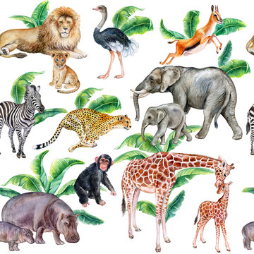 Set of african animals with tropical leaves isolated on white background. Illustration. Watercolor. Template. Close-up. Clip art. Hand drawn. Hand painted
