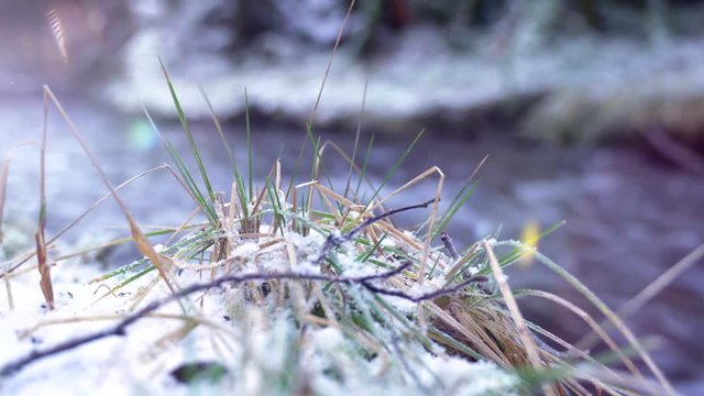 Im Winterwald flie&szlig;t ein Flu&szlig;. Es ist die Glenne bei Rixen im Sauerland. Sound. Das Ufer ist mit Schnee bedeckt. Der Fokus wandert von einem Grasb&uuml;schel auf das Wasser.