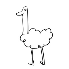 Vector hand drawn cute ostrich. Line art baby graphic funny happy bird doodle.