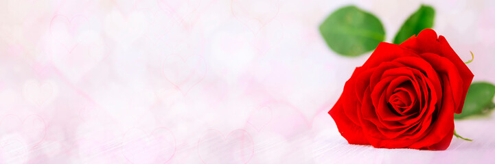 Red rose over heart shape bokeh background