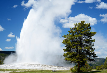 Geysers in Yellowstone National Park.