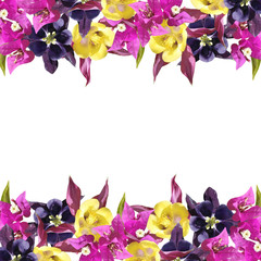 Fototapeta na wymiar Beautiful floral background of Bougainvillea and Aquilegia 