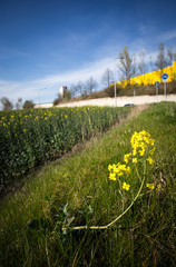 Frohla 2012