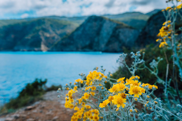 Naklejka na ściany i meble Beautiful Wildflowers in front of amazing mediterranean landscape. Blurred background