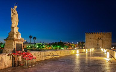 Obraz premium Roman Bridge and Guadalquivir river, Great Mosque, Cordoba, Spain
