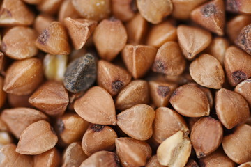 Buckwheat ingredient  detail , macro