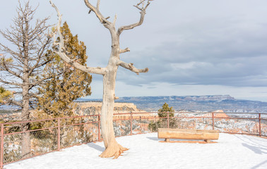Sowy bench overlooking a scenic canyon © Tim Barnes