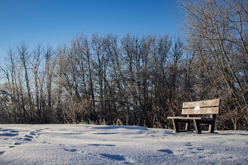 Lone wooden bench sitting amidst a layer of white fluffy snow beneath bright skies