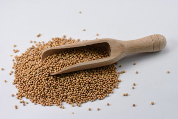 Raw Organic Mustard Seeds in a Spoon