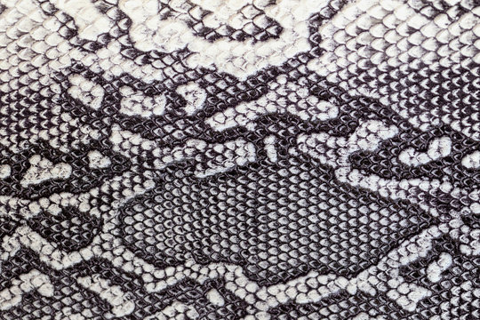 Snakeskin pattern on genuine leather close-up, imitation of exotic reptile, trendy background
