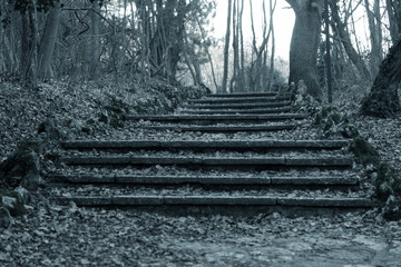 An old open outer stone staircase. Stone, cement steps of the old staircase with traces of...