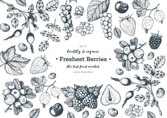 Berries hand drawn, vector illustration frame. Hand drawn sketch illustration with currant, cranberry, blackberry, cherry, gooseberry, raspberry, strawberry. Healthy food design template with berries