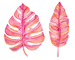 Watercolor tropical leaves isolated on white background. Hand painted illustration of coral, pink and orange leaves. Watercolor set with monstera leaf. © Iryna