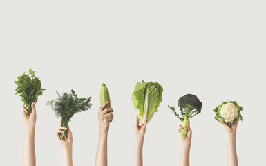 Hands holding different green vegetables on isolated background