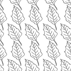 leaf vector seamless pattern isolated on white background
