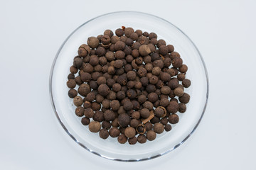 Coriander seeds on porcelain plate